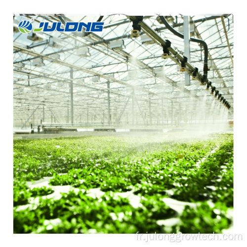 Greenhouse avec système hydroponique pour la plantation